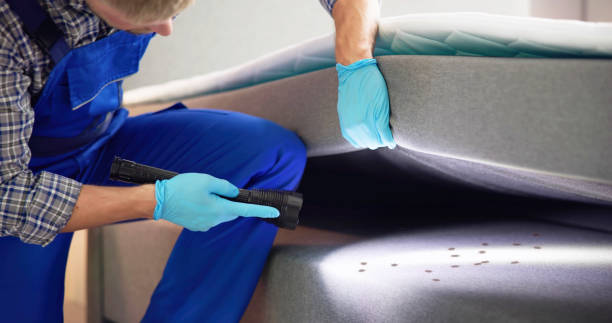 Best Pest Control Near Me  in Hammond, IN