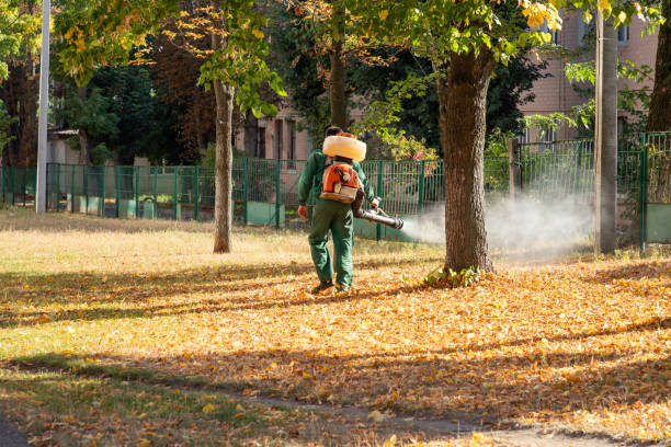 Bird Control in Hammond, IN