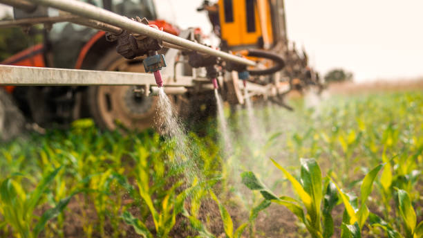 Best Commercial Pest Control Services  in Hammond, IN